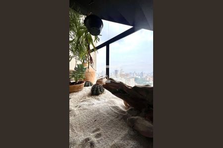 Detalhe da sala de apartamento para alugar com 1 quarto, 66m² em Sumarezinho, São Paulo