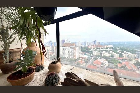 Detalhe da sala de apartamento para alugar com 1 quarto, 66m² em Sumarezinho, São Paulo