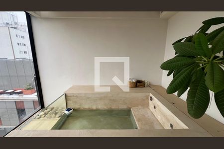 Varanda da sala/Piscina de apartamento para alugar com 1 quarto, 66m² em Sumarezinho, São Paulo