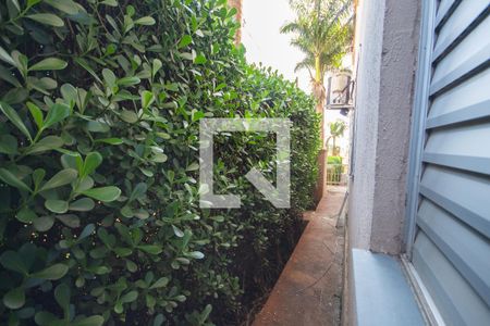 Vista do Quarto 1 de apartamento para alugar com 2 quartos, 48m² em Subsetor Leste - 8 (l-8), Ribeirão Preto