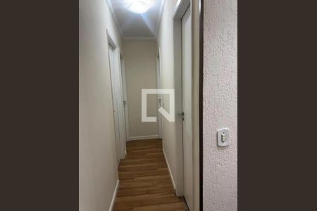 Foto 15 de apartamento à venda com 3 quartos, 61m² em Vila Matilde, São Paulo