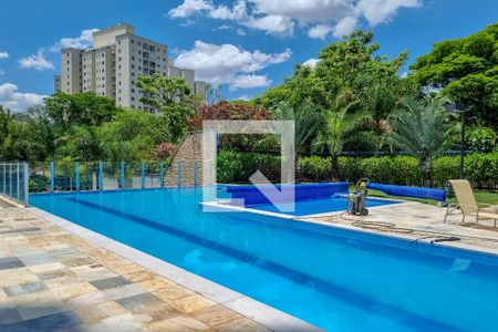 Área comum - Piscina de apartamento à venda com 4 quartos, 240m² em Paquetá, Belo Horizonte