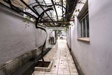 Quintal de casa à venda com 4 quartos, 280m² em Santa Ines, Belo Horizonte