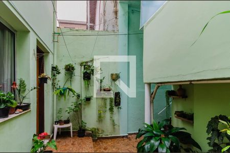 Quintal Casa dos Fundos de casa à venda com 3 quartos, 160m² em Ipiranga, São Paulo