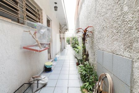 Quintal de casa à venda com 3 quartos, 400m² em Planalto Paulista, São Paulo