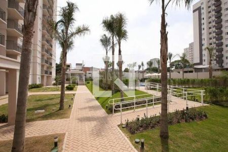 Apartamento à venda com 2 quartos, 56m² em Vila Antonieta, São Paulo