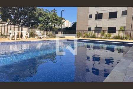 Área comum - Piscina de apartamento para alugar com 2 quartos, 43m² em Jardim Ibirapuera, Campinas