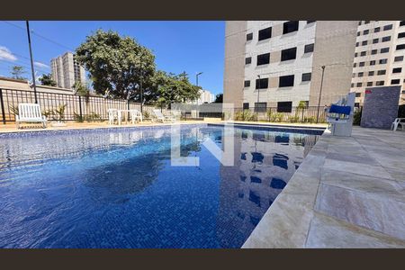 Área comum - Piscina de apartamento para alugar com 2 quartos, 43m² em Jardim Ibirapuera, Campinas