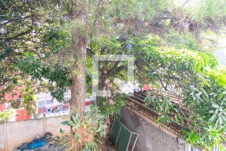 Vista do Quarto 1 de apartamento para alugar com 2 quartos, 48m² em Conjunto Habitacional Padre Manoel da Nobrega, São Paulo