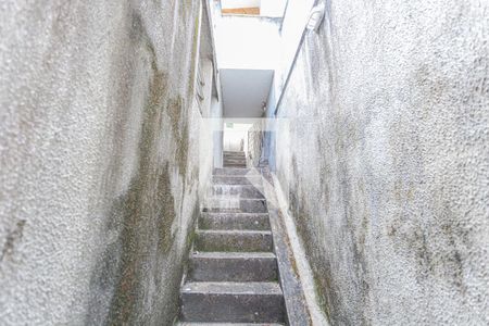 Escada de Acesso a Garagem de casa à venda com 5 quartos, 206m² em São Pedro, Belo Horizonte