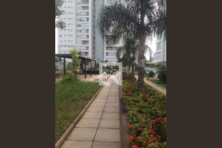 Apartamento à venda com 3 quartos, 164m² em Parque Prado, Campinas