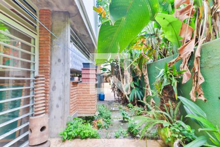 Jardim / Quintal de casa para alugar com 8 quartos, 324m² em Butantã, São Paulo