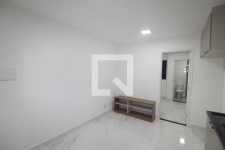 Sala / Cozinha de apartamento para alugar com 1 quarto, 28m² em Vila Pauliceia, São Paulo