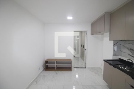 Sala / Cozinha de apartamento para alugar com 1 quarto, 28m² em Vila Pauliceia, São Paulo
