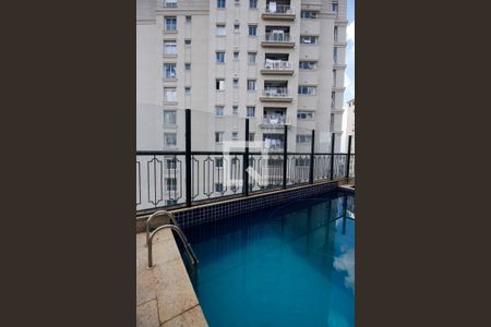Área comum - Piscina de apartamento à venda com 5 quartos, 515m² em Vila Andrade, São Paulo