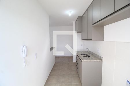 Cozinha de apartamento para alugar com 2 quartos, 55m² em Shopping Park, Uberlândia