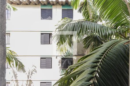Vista do Quarto 1 de apartamento para alugar com 2 quartos, 75m² em Conjunto Residencial José Bonifácio, São Paulo