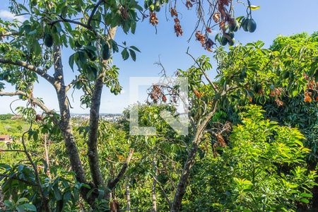 Vista Varanda da Banheiro da Suíte  de casa à venda com 4 quartos, 390m² em Vila Nova, Porto Alegre