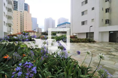 Área comum de apartamento para alugar com 2 quartos, 63m² em Santana, São Paulo