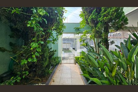 Garagem de casa para alugar com 4 quartos, 350m² em Vila Arriete, São Paulo