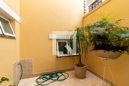 Sala de Estar - Jardim de Inverno de casa à venda com 3 quartos, 300m² em Jardim Franca, São Paulo