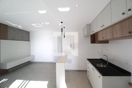 Cozinha de apartamento para alugar com 2 quartos, 68m² em Jardim Sul, Uberlândia