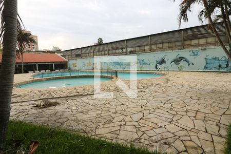 Área comum - Piscina de apartamento à venda com 2 quartos, 70m² em Partenon, Porto Alegre