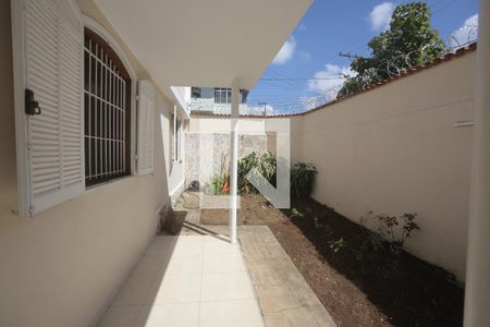 Area comum de casa para alugar com 4 quartos, 250m² em Padre Eustáquio, Belo Horizonte