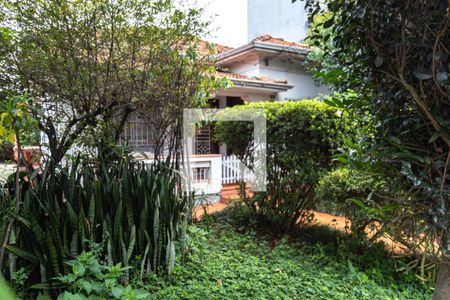 Área comum de casa à venda com 5 quartos, 500m² em Vila das Palmeiras, Guarulhos