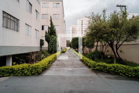 Área comum de apartamento à venda com 2 quartos, 60m² em Jardim Ponte Rasa, São Paulo