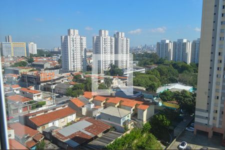 Quarto 1 Vista de apartamento para alugar com 2 quartos, 63m² em Vila Moreira, São Paulo