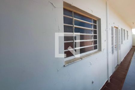 Corredor - Quintal de casa para alugar com 5 quartos, 388m² em Jardim Santa Eudoxia, Campinas