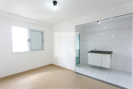 Sala de apartamento para alugar com 1 quarto, 28m² em Tatuapé, São Paulo