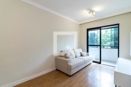 Sala de apartamento para alugar com 2 quartos, 50m² em Imirim, São Paulo