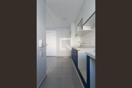 Cozinha - Armários de apartamento para alugar com 2 quartos, 43m² em Jardim Brasilia, São Paulo