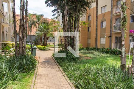 Área comum de apartamento para alugar com 2 quartos, 55m² em Cambuci, São Paulo