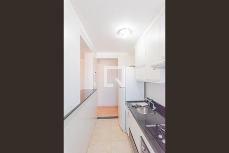 Cozinha de apartamento para alugar com 3 quartos, 60m² em Jardim Anton Von Zuben, Campinas