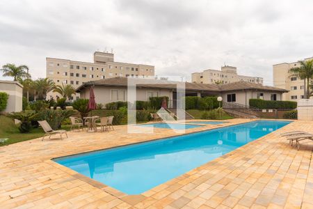 Área comum - Piscina de apartamento para alugar com 3 quartos, 60m² em Jardim Anton Von Zuben, Campinas