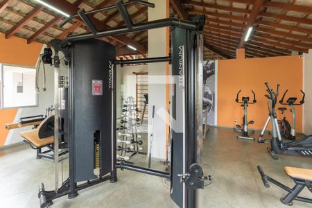 Área comum - Academia de apartamento para alugar com 3 quartos, 60m² em Jardim Anton Von Zuben, Campinas
