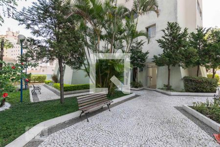 Área comum de apartamento para alugar com 1 quarto, 36m² em Cambuci, São Paulo