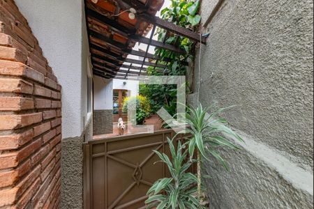 Quintal de casa à venda com 5 quartos, 316m² em Vila Paris, Belo Horizonte