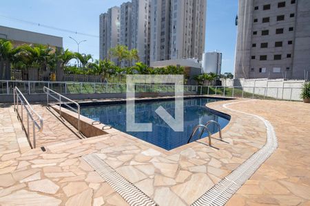 Área Comum - Piscina de apartamento para alugar com 2 quartos, 50m² em Jardim Nova Hortolandia, Hortolândia