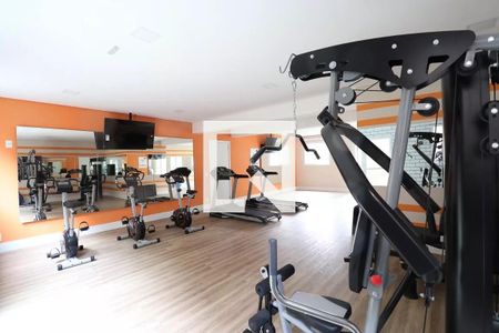 Academia de apartamento para alugar com 2 quartos, 34m² em Lapa de Baixo, São Paulo