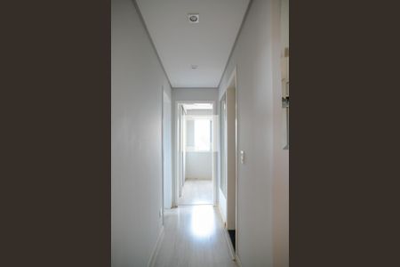 Corredor de apartamento para alugar com 2 quartos, 52m² em Vila das Merces, São Paulo