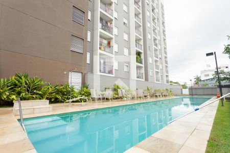 Área comum - Piscina de apartamento à venda com 2 quartos, 34m² em Socorro, São Paulo