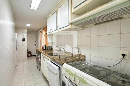 Cozinha de apartamento para alugar com 2 quartos, 96m² em Botafogo, Rio de Janeiro