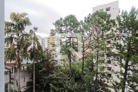 Vista de apartamento à venda com 2 quartos, 52m² em Lauzane Paulista, São Paulo