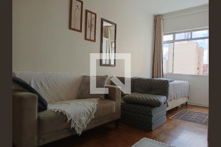 Sala/Quarto de apartamento para alugar com 1 quarto, 30m² em Campos Elíseos, São Paulo