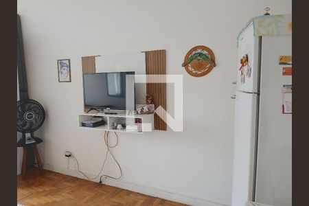 Sala/Quarto de apartamento para alugar com 1 quarto, 30m² em Campos Elíseos, São Paulo