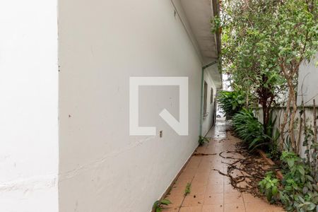 Corredor Lateral de casa à venda com 3 quartos, 300m² em Vila Congonhas, São Paulo